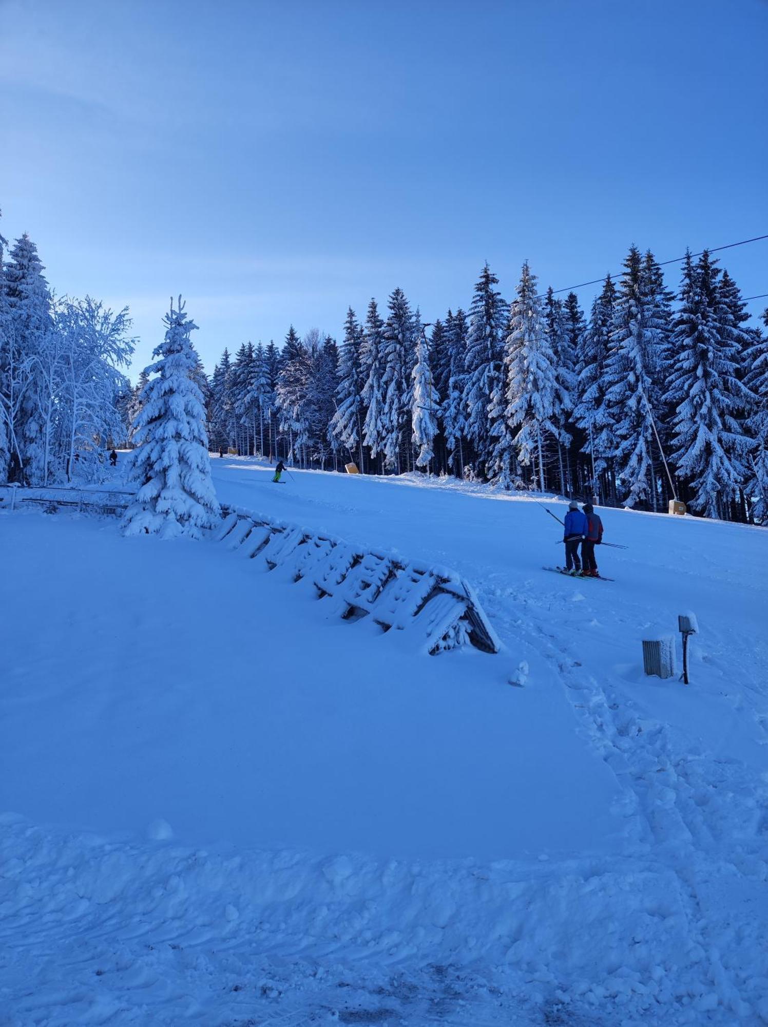 Unger Villa Altenberg (Erzgebirge)